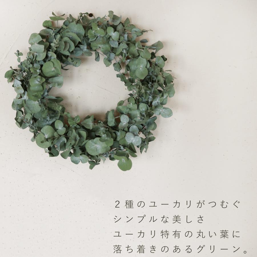 約直径34cm】大きなユーカリのリース ＊ ユーカリだけのシックで
