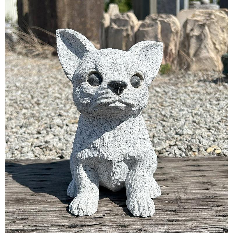 チワワ 高さ20cm 犬 置物 子犬 成犬 いぬ イヌ 玄関 エントランス 庭