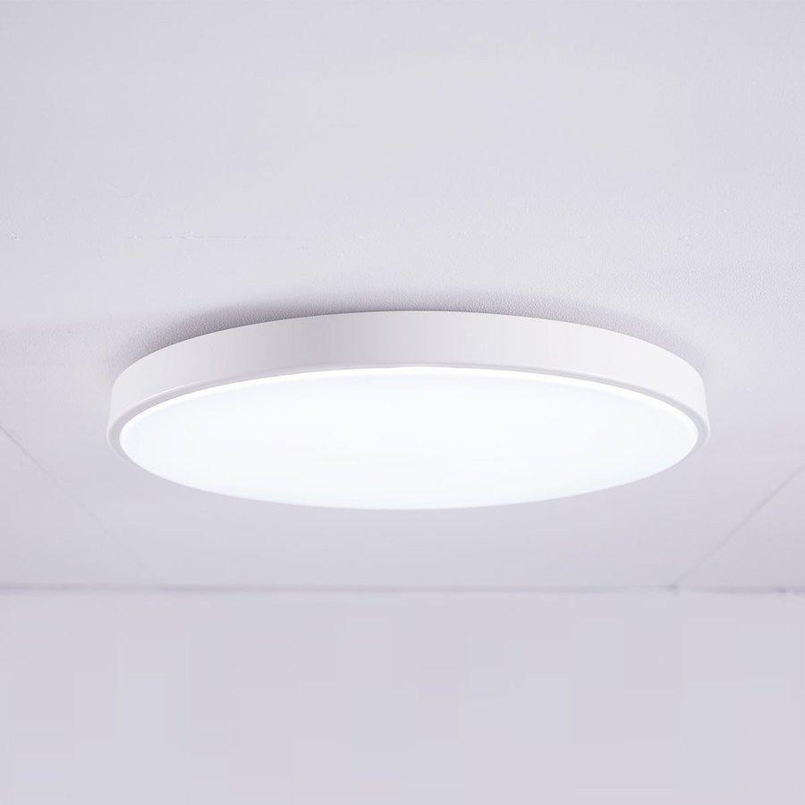 LOWYA（ロウヤ） シーリングライト LED 8畳 薄型 LED リモコン付き