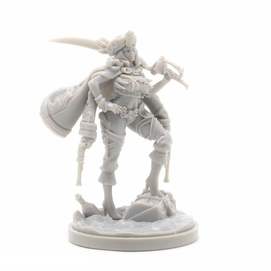 女神シリーズ 1/48 女海賊 戦士 レジン フィギュア 美少女 プラモデル