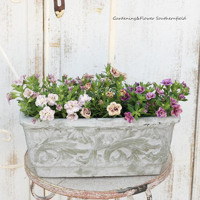 ガーデニング雑貨 アンティーク調 鉢 アラベスク レクトプランター S