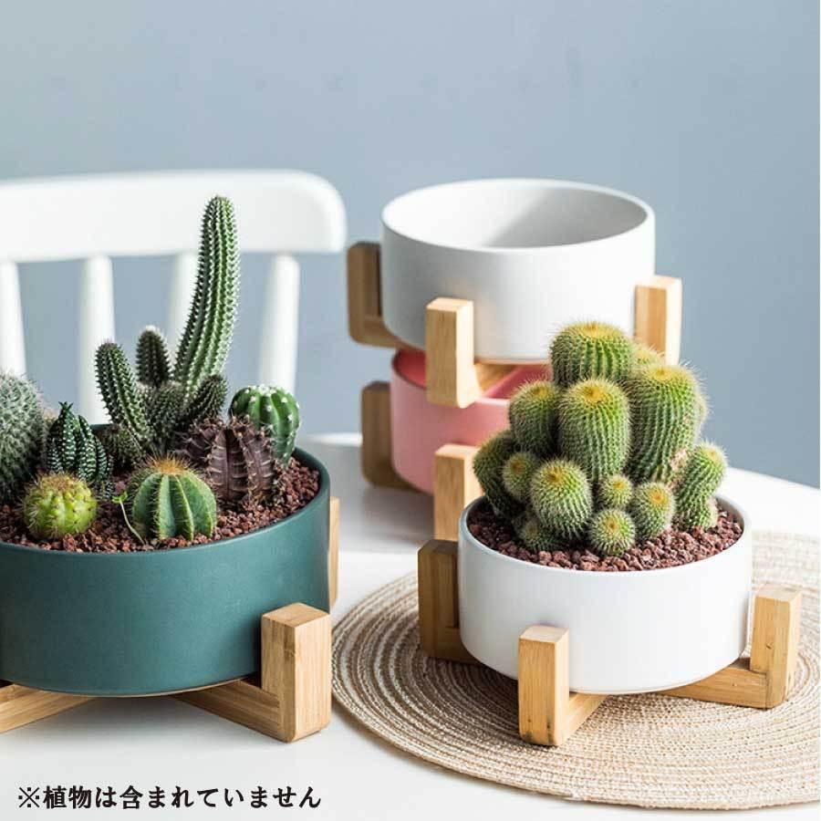 寄せ植え 植木鉢 プランタ 鉢 多肉植物鉢 サボテン鉢 竹トレー付き