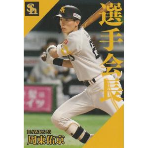 カルビー 2017侍ジャパンチップス SJ-06 大谷翔平(日本ハム) スター