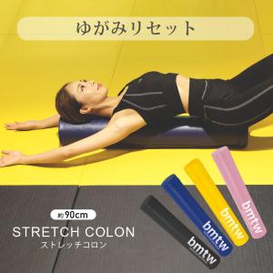 レッグストレッチャーCP BODYMAKER ボディメーカー ハイキック 空手