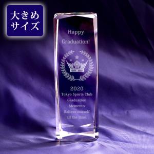 3Dクラウン クリスタル ブロック 50x150mm ペーパーウェイト