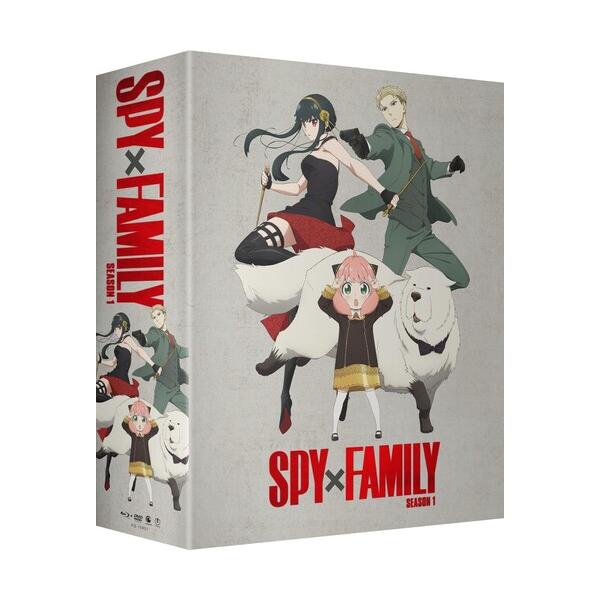 SPY X FAMILY - PART 2 (4PC) (W/DVD) (Limited Edition) (2024/2/13