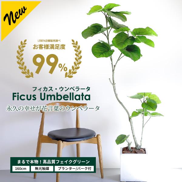 リーベン フェイクグリーン フィカス ウンベラータ 160cm 無光触媒加工