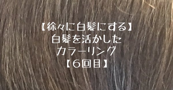 徐々に白髪にする】白髪を活かしたカラーリング【6回目