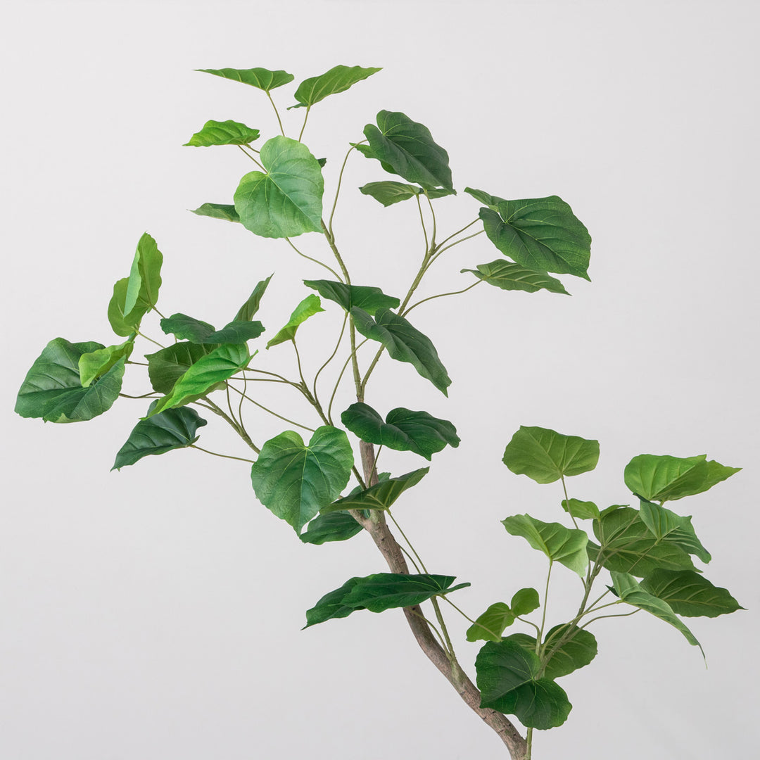 Artificial - Green フェイクグリーン ウンベラータ – KANADEMONO