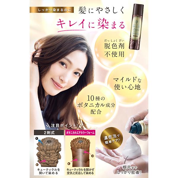 2/23限定！10％OFF】ヘアボーテ エクラ ボタニカルエアカラーフォーム