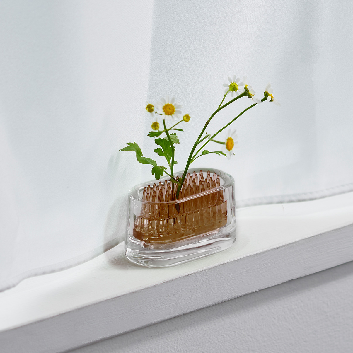 d｜ミチクサ オーバル | KONCENT Web shop｜アッシュコンセプト公式