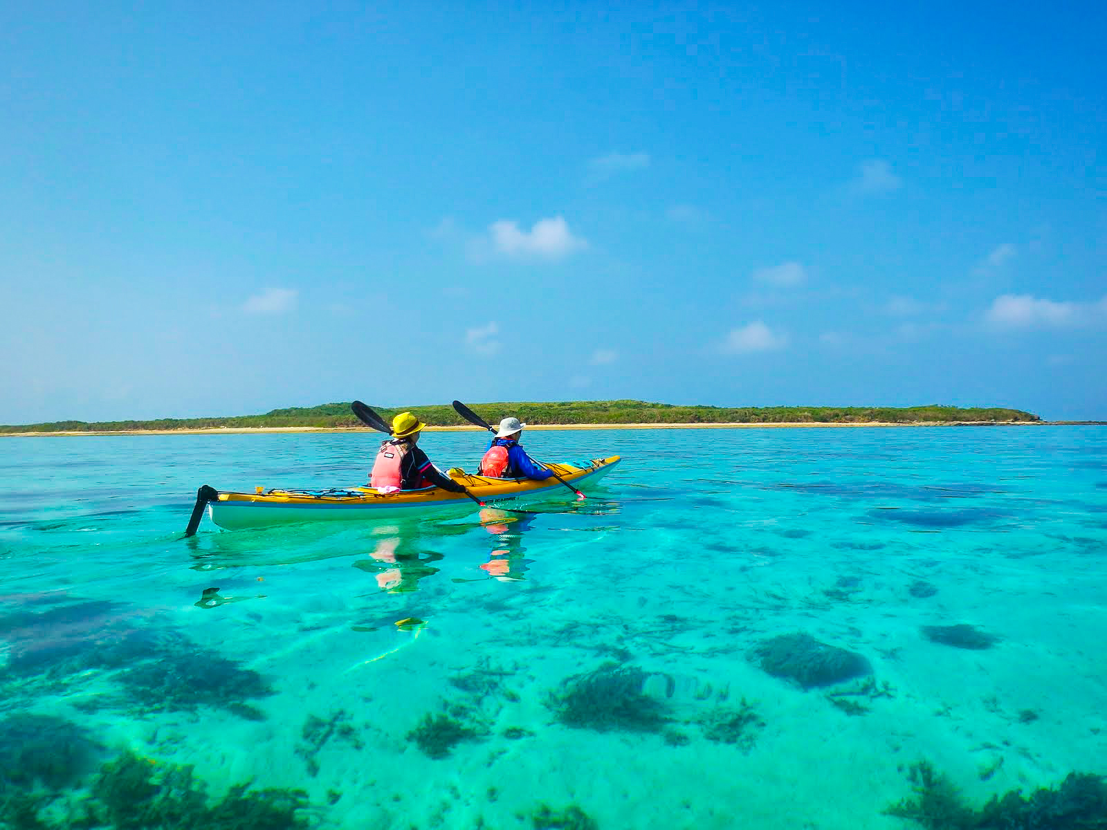 小浜島/約2.5時間】11月～3月限定！冬こそ最高の透明度☆小浜ブルーの