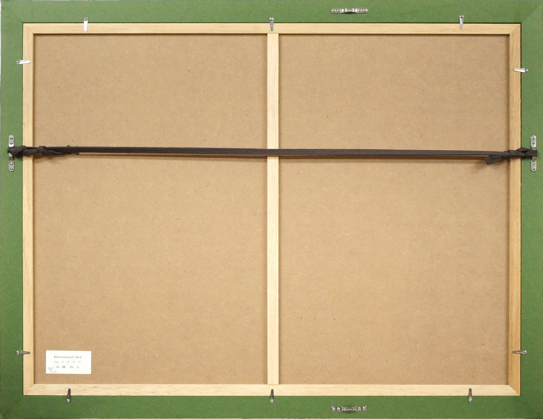 安藤牧子「コスモス（Botanical Art）」版画・10号大 絵画買取・販売の