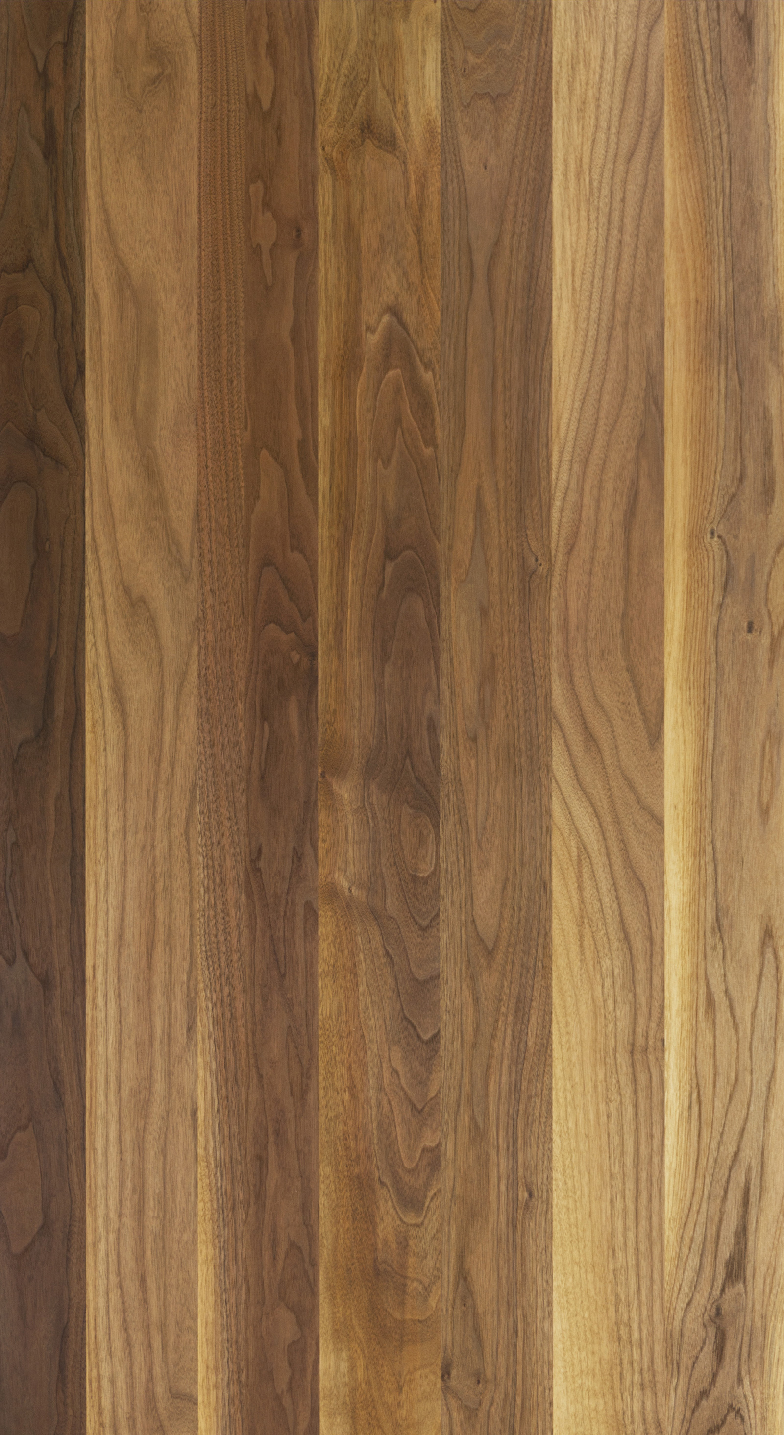 マスターウォールの1stプロダクト “WILD WOOD（ワイルドウッド