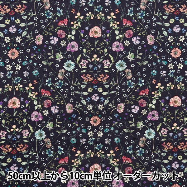 数量5から】 生地 『リバティ・ファブリックス タナローン アーチ