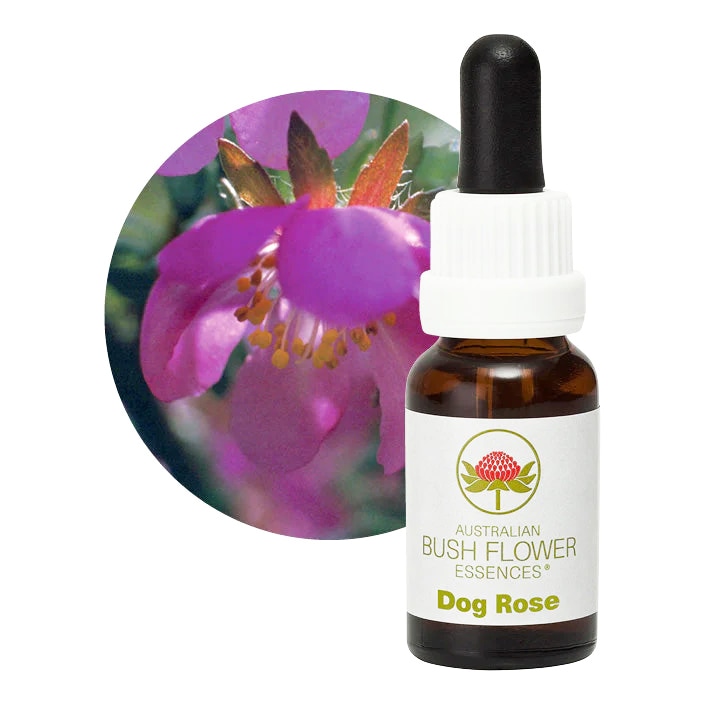 クロウェア[Crowea] | ブランド一覧,オーストラリアンブッシュ