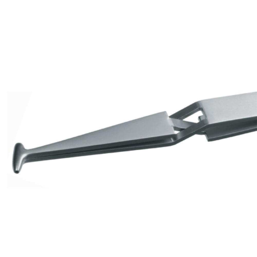 NHAN NGO THIENオーダー品　4set×4pcs 火鍋セット4人前 | 火鍋にしだ