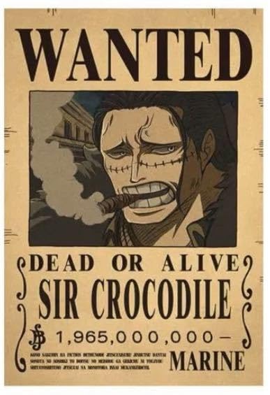Amazon.co.jp: ワンピース 手配書 懸賞金ポスター 海賊 X : おもちゃ