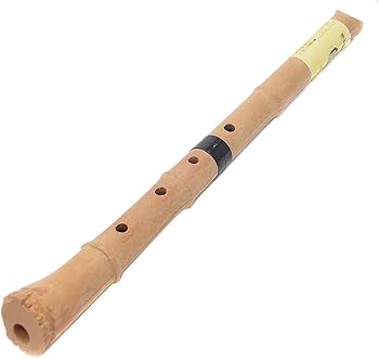 Amazon | 尺八 樹脂製 1尺8寸管 key D （完全調律尺八 悠) | 尺八