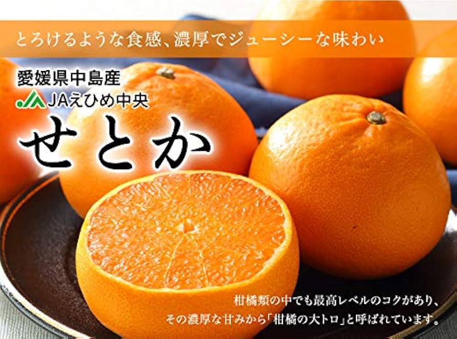 みかん様 みかん様 用 みかん様 ミカン様 ミカン様 蜜柑様 レビュー