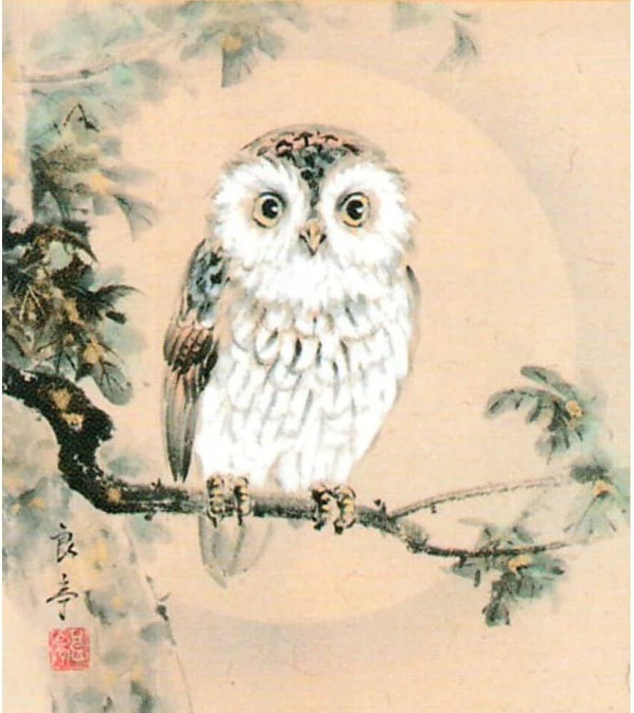 Amazon.co.jp: 今瀬良亭 ふくろう 不苦労 色紙 ナチュラル 日本画 動物