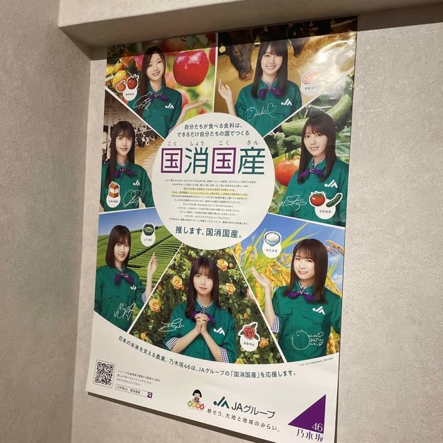 Amazon.co.jp: 乃木坂46 ポスター JA国消国産 : おもちゃ