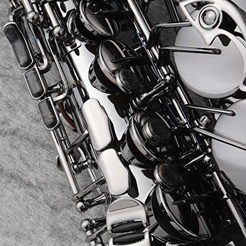 Amazon | Cannonball A5 アルトサックス BIG BELL STONE SERIES アン