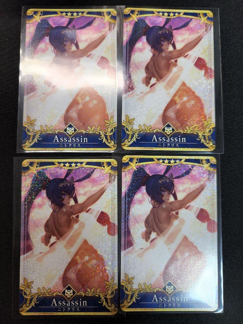 FGO ニトクリス (水着) (聖杯 レベル100) フェイタルfgoac fgoac 水着