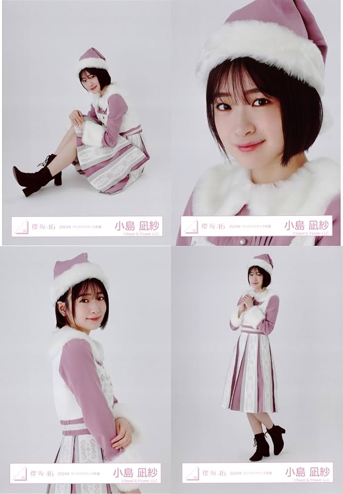 Amazon.co.jp: 櫻坂46 生写真 2024年 クリスマスサンタ衣装 4種コンプ