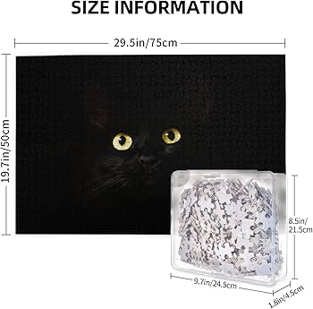 71Ok2N0FIyL._AC_UF350,