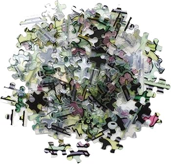 71RgVjlDk9L._AC_UF350,