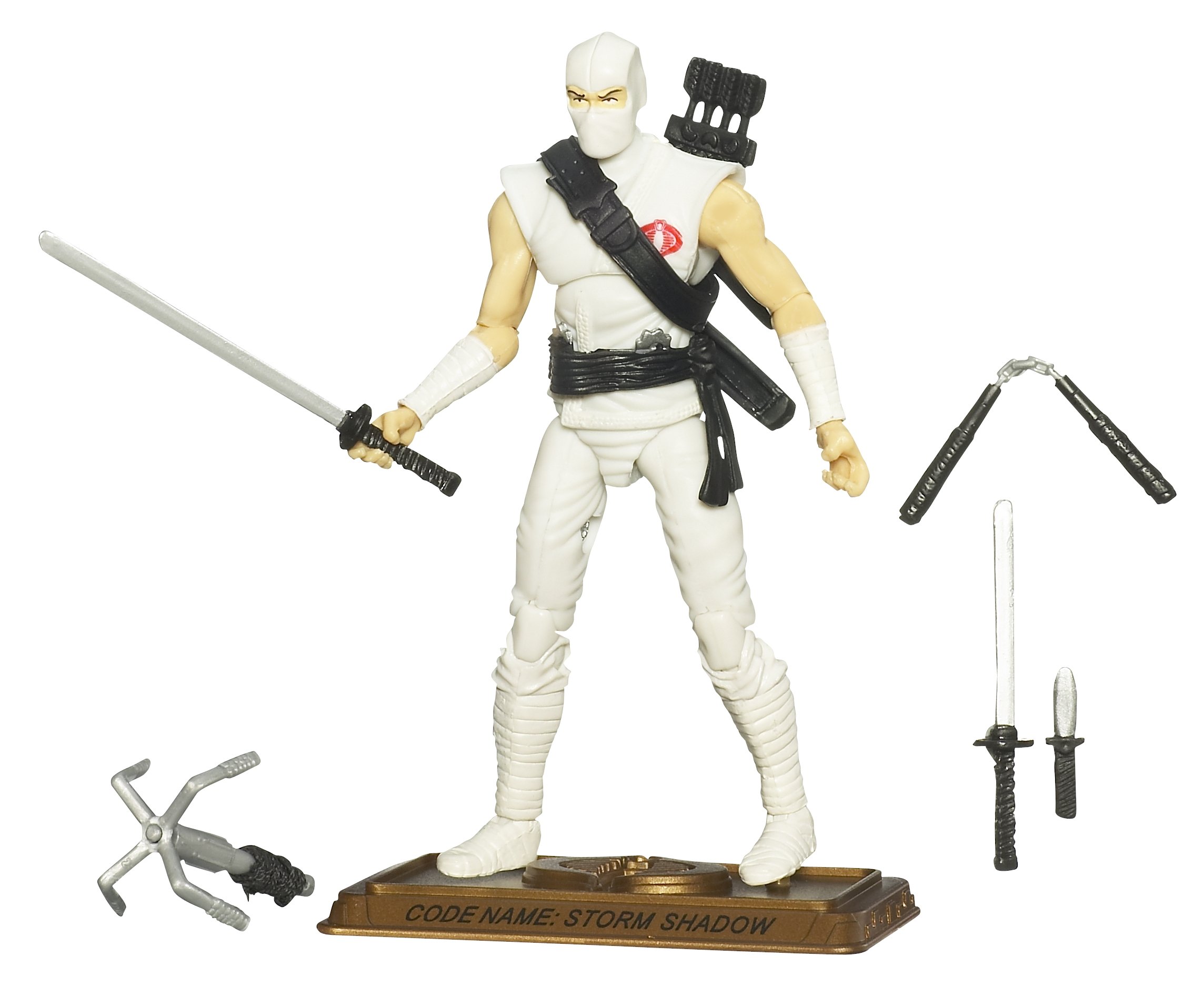 Amazon.com: G. I. Joe Anniversary Hall of Heros - White Storm