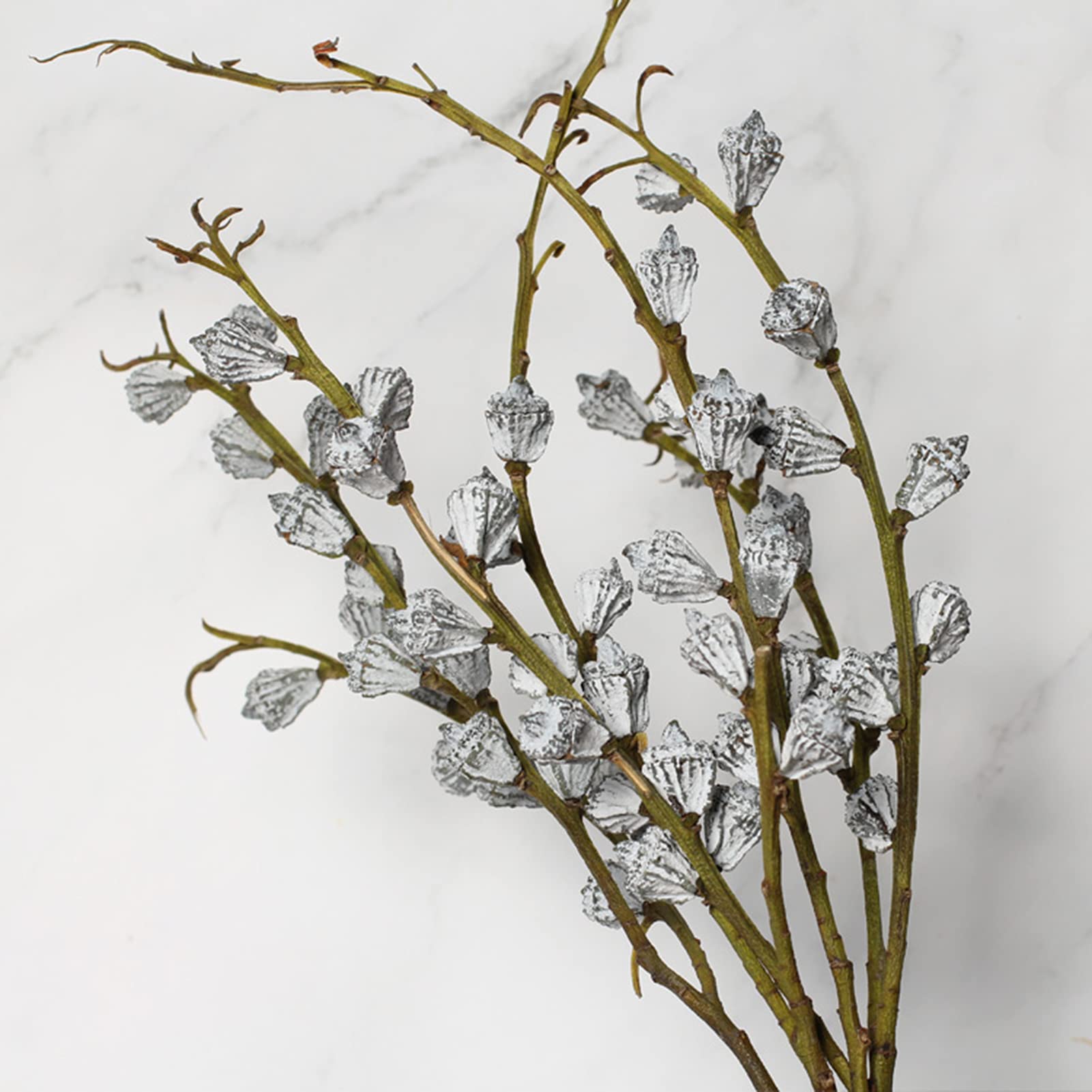 Amazon.co.jp: ドライフラワー 花束 ユーカリの葉と干し果物ユーカリの