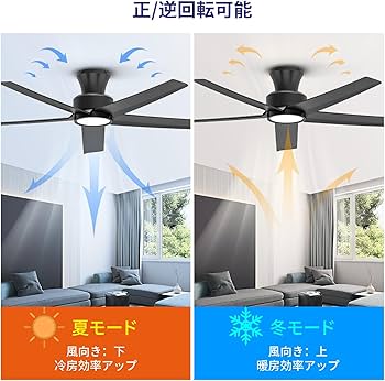 Amazon.co.jp : 【節電-5年保証】TALOYA シーリングファンライト 調光