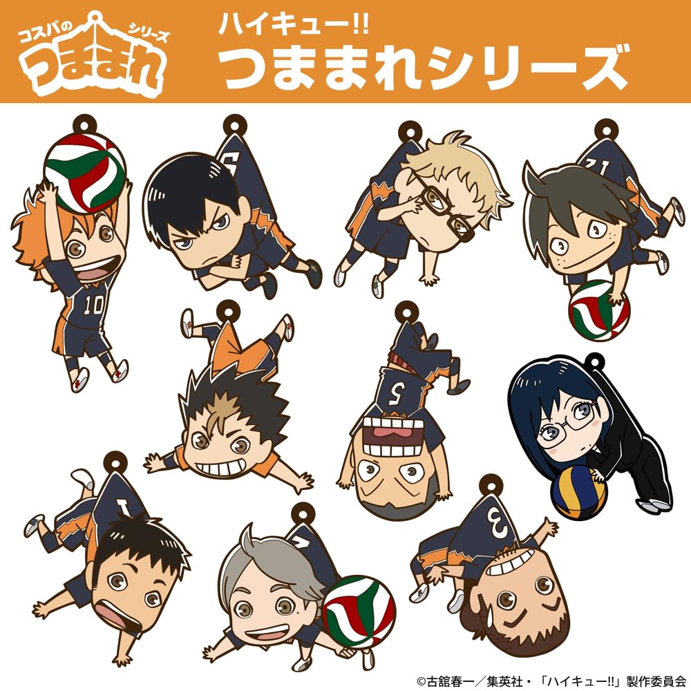 Amazon.co.jp: 【公式】コスパ ハイキュー!! 菅原孝支 つままれ
