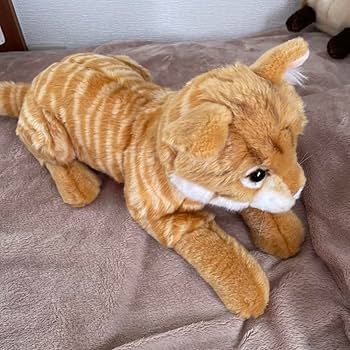 Amazon.co.jp: 本物の猫ちゃんみたいなぬいぐるみ 茶トラ ねこ 人形