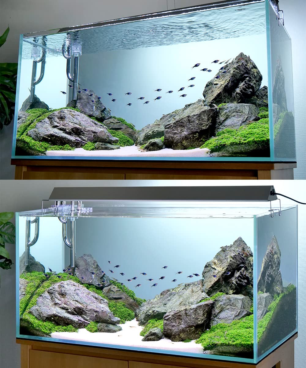 Amazon | 形状お任せ 風山石 MLサイズ（約15～20cm） 1個