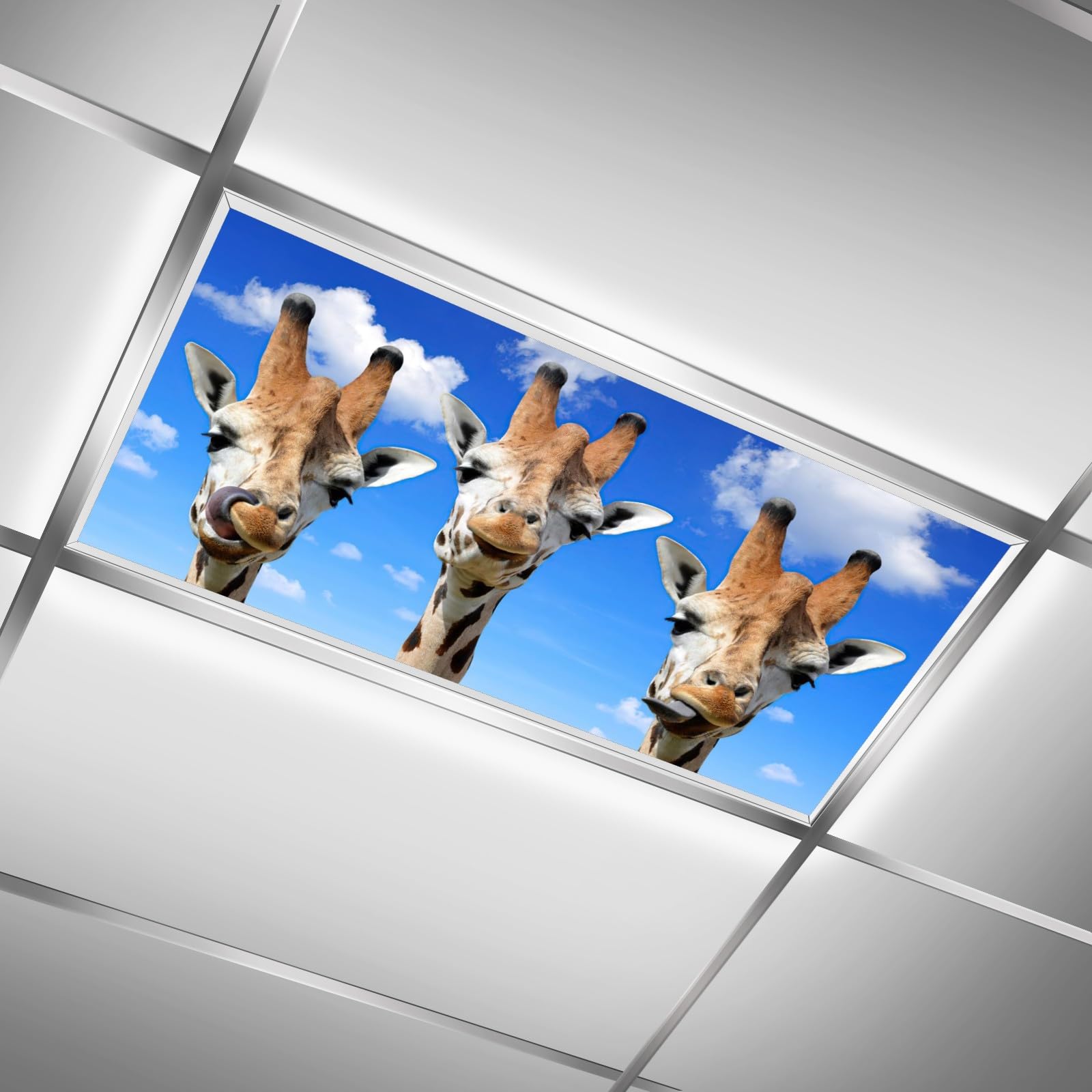 Amazon.co.jp: 教室用蛍光灯カバー - 2枚 面白いキリン 磁気蛍光灯