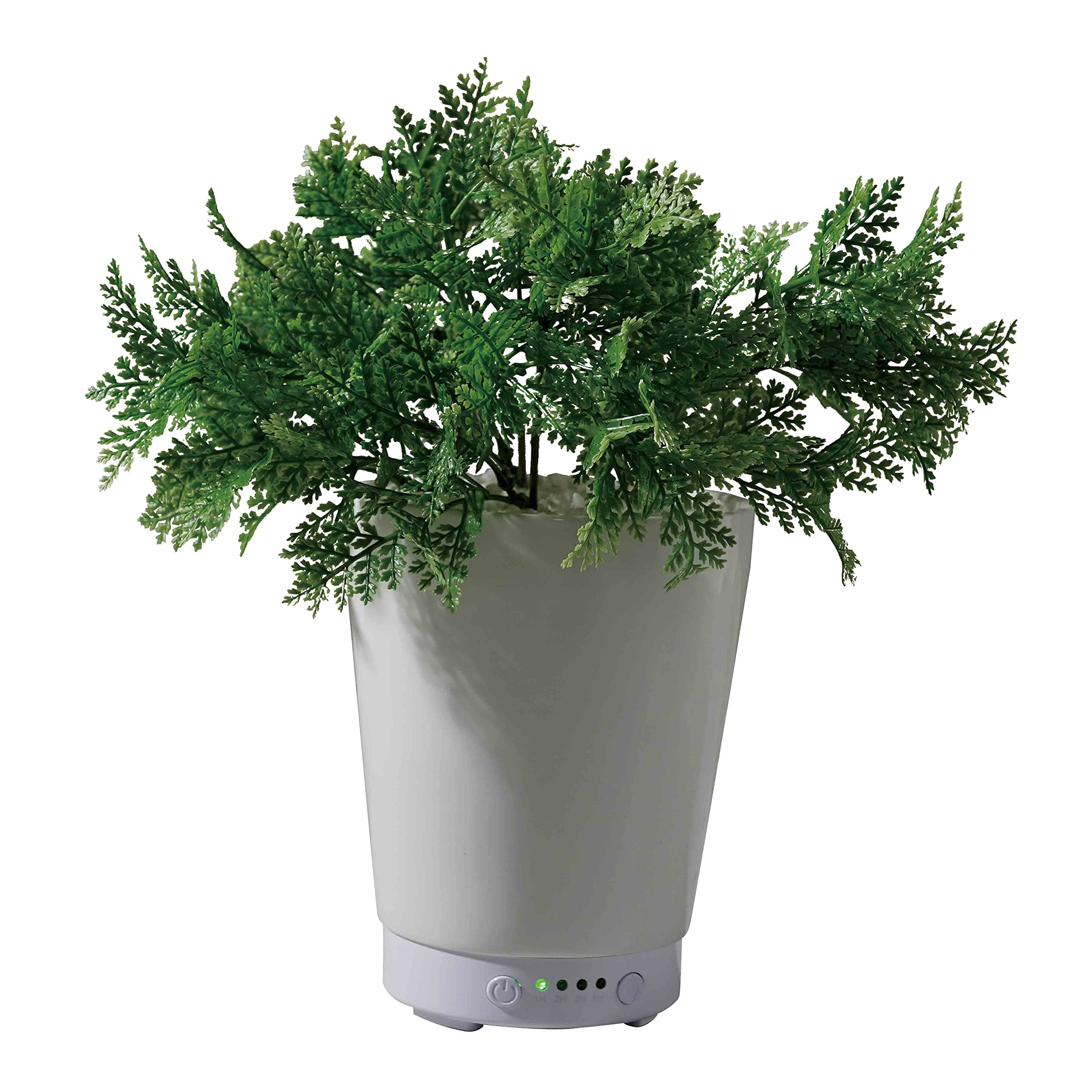 Amazon｜LITHON ライソン グリーンアロマミスト ファーン GREEN AROMA