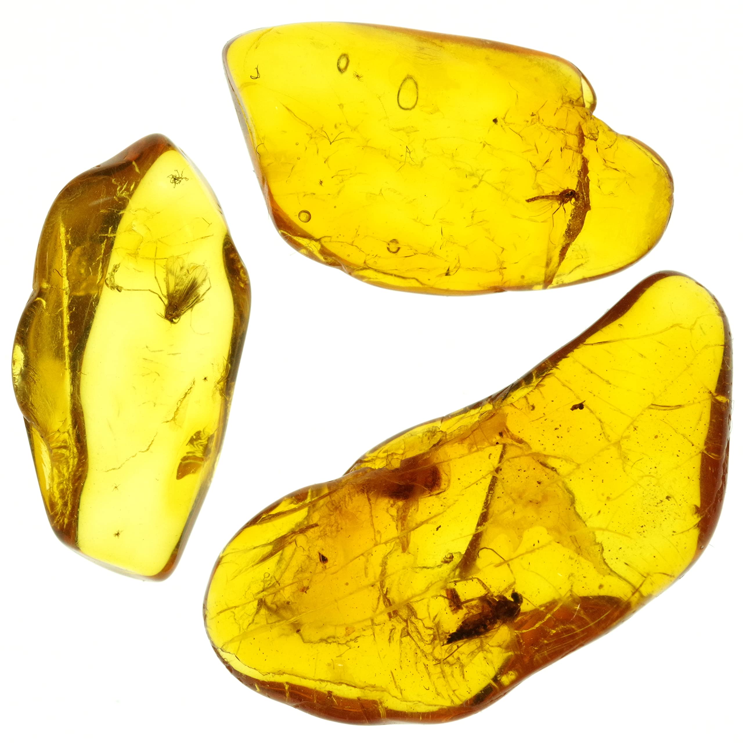 Amazon | [N2 stone Natural] 天然化石 虫入り琥珀 (アンバー/Baltic