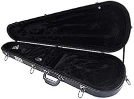Amazon.co.jp: PLAYTECH (プレイテック) エレキギター用ハードケース