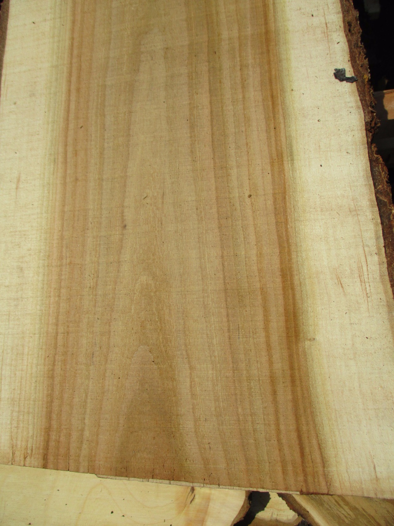 家具用材】バラ科サクラ属の“桜”を製材・入荷しました。チェリー 他