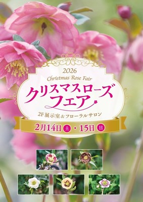 クリスマスローズフェア(大阪府)の情報｜ウォーカープラス