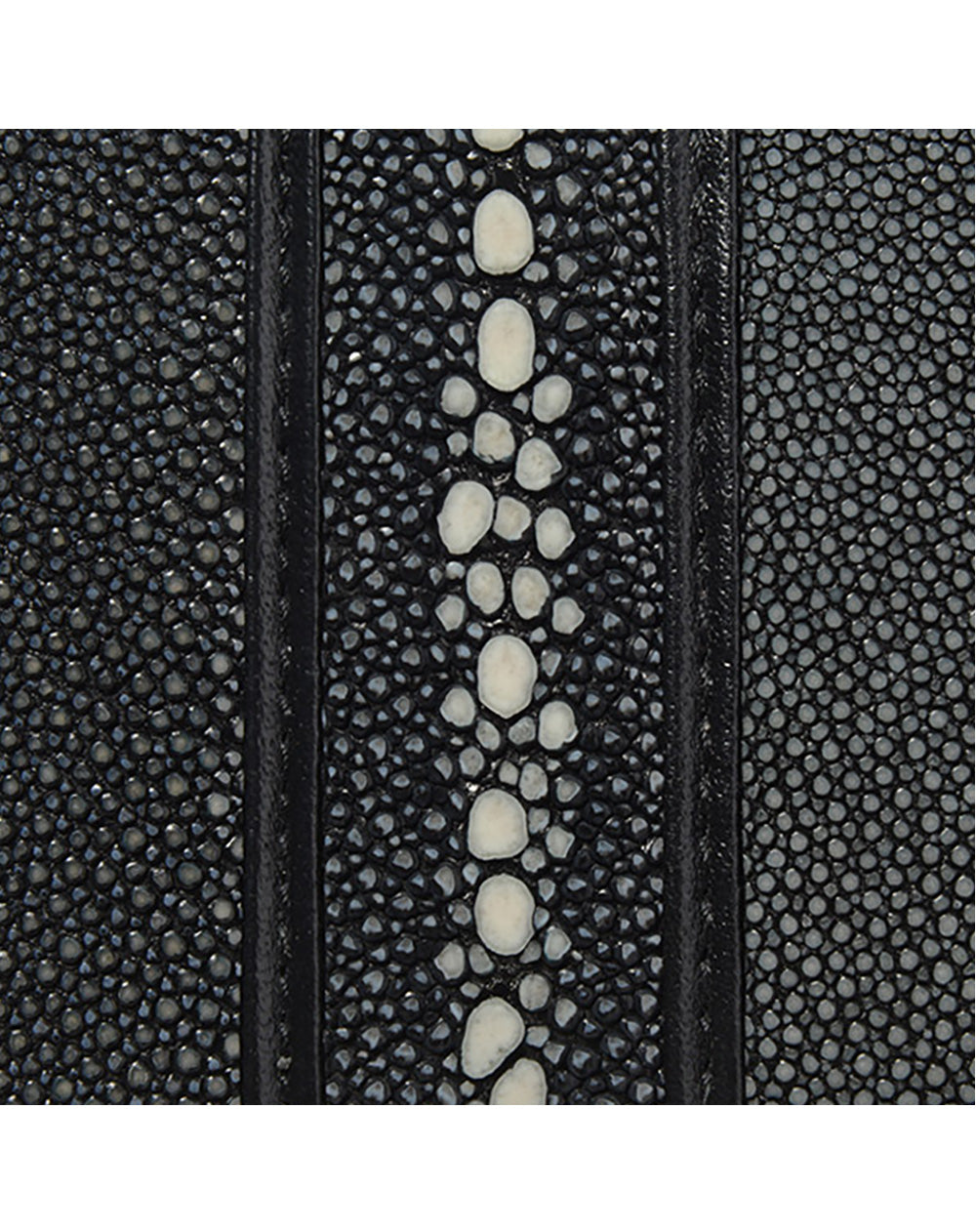 ガルーシャ・7ラインZIP長財布（ブラック） – muta Online Store