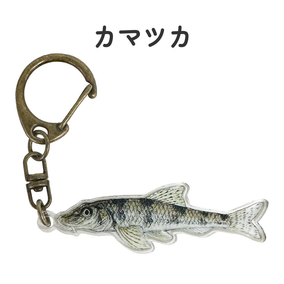 日淡キーホルダー 【sakanazuki】 – Nature Clips Online Store