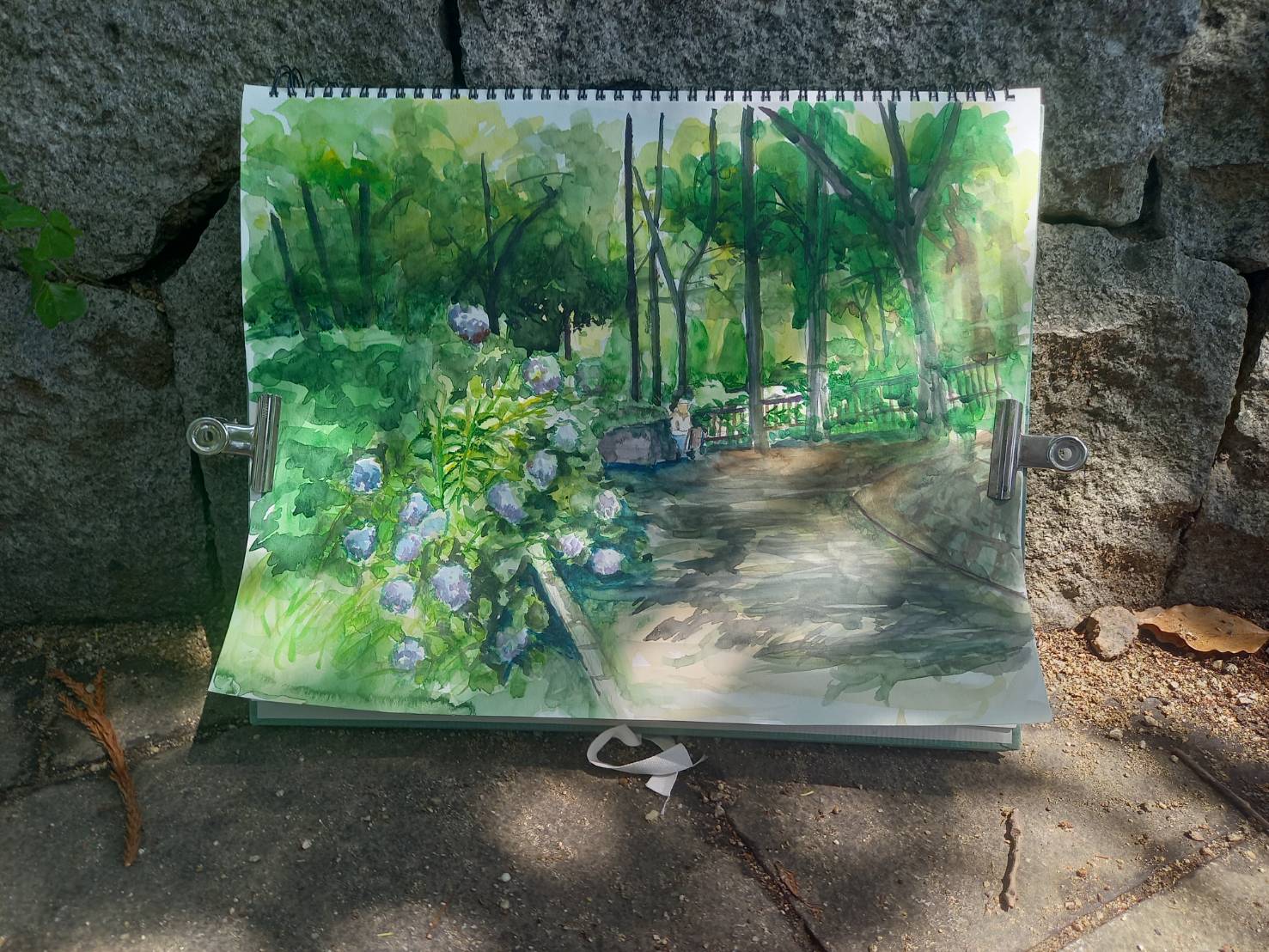 スケッチ会｜大阪市｜鶴見緑地公園｜あじさい｜2024年6月｜風景画