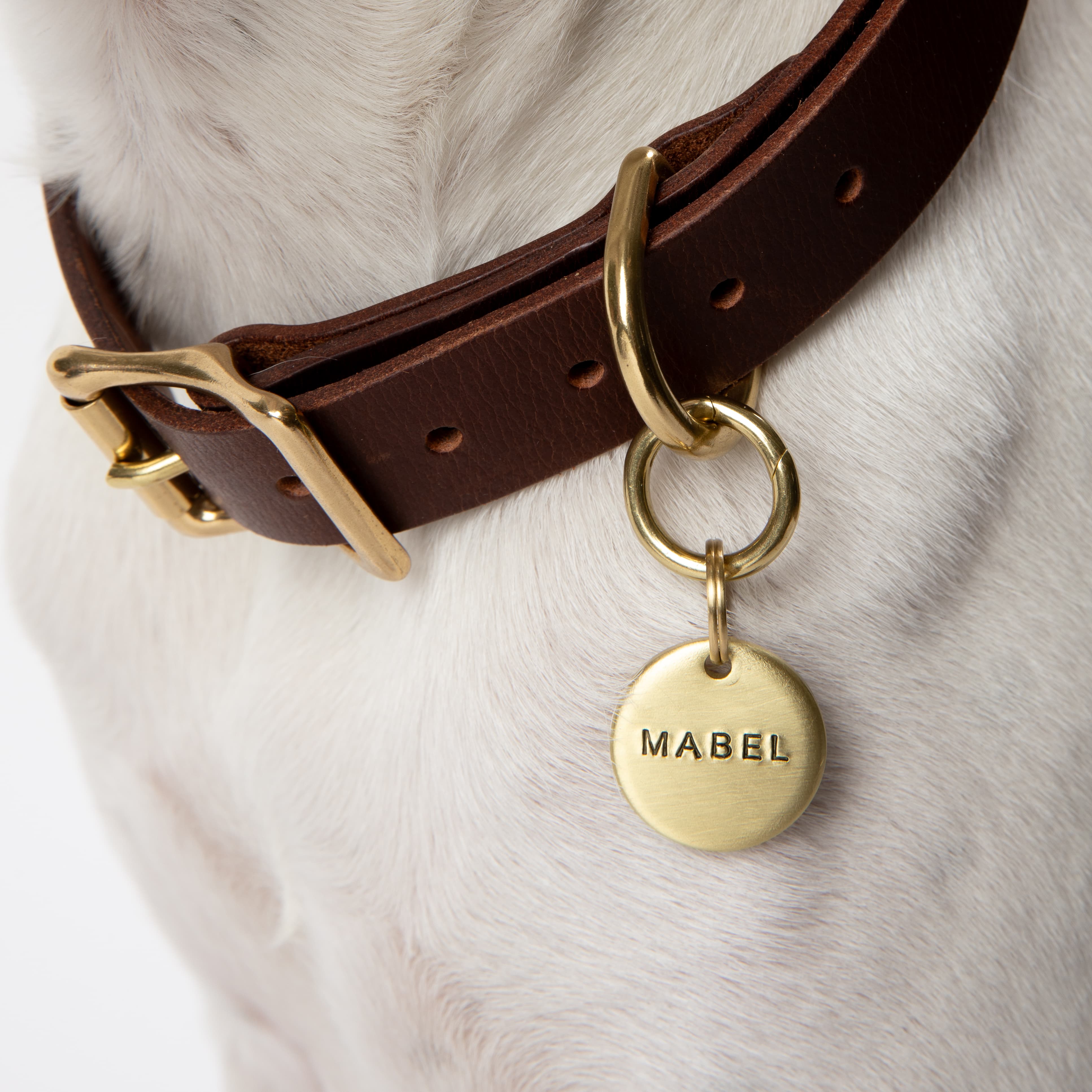 Thick Solid Brass Dog Tag, 1