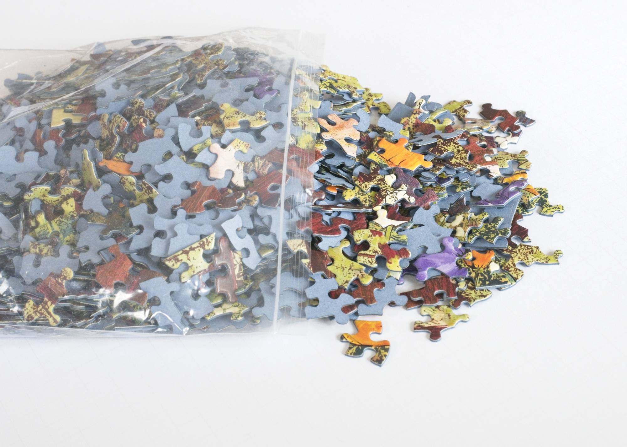 Golden Beams Puzzle – Redwoods Art by Hilary Williams – Oakland