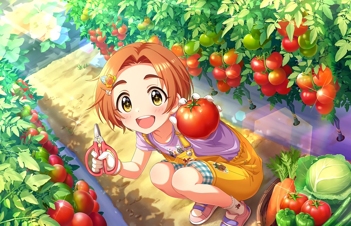 たいようのガーデン]龍崎薫