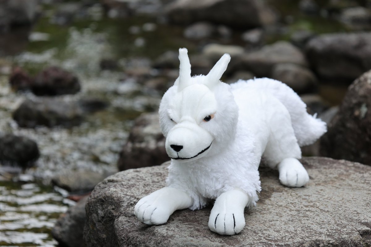 🌿もののけ姫25周年◇第一弾🌿 まるでこちらに話しかけているような